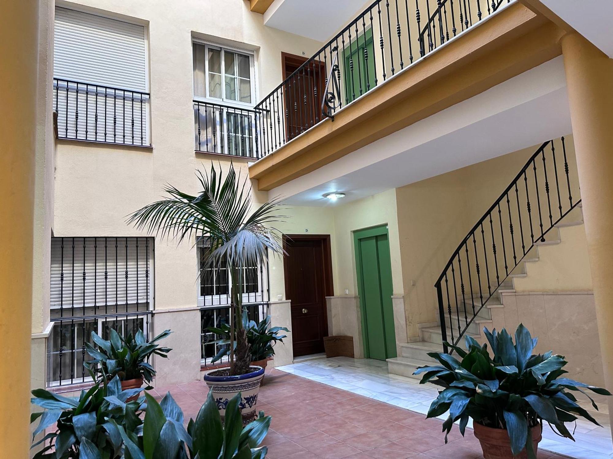 דירות מאלגה Urban Flat Junior מראה חיצוני תמונה